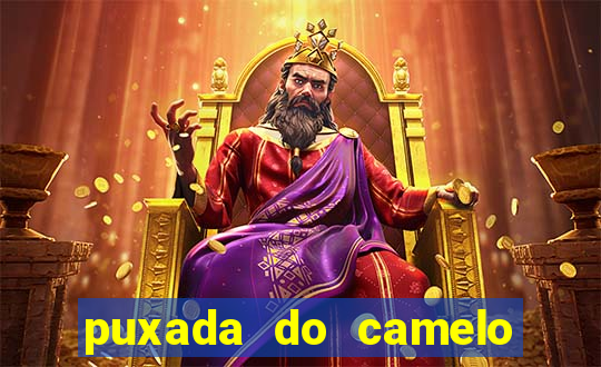 puxada do camelo jogo do bicho